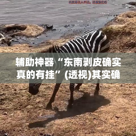 星际战甲5白金价格表图—（星际战甲500白金多少钱）