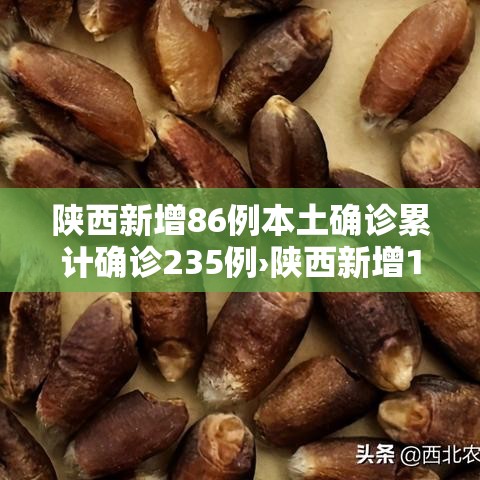 给大家讲解“微信牛牛链接版有房卡	”链接房卡在哪里获取