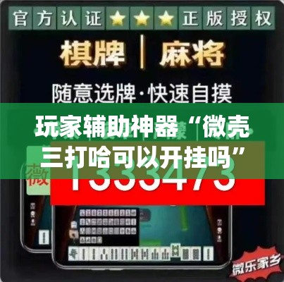 玩家辅助神器“微壳三打哈可以开挂吗	”(透视)其实确实有挂