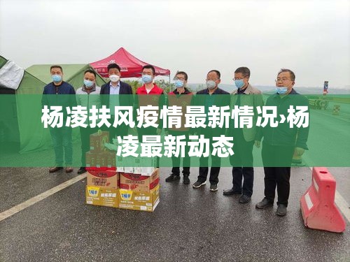 杨凌扶风疫情最新情况›杨凌最新动态