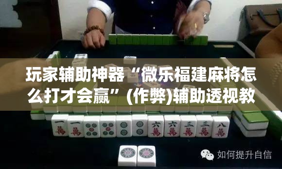 玩家辅助神器“微乐福建麻将怎么打才会赢”(作弊)辅助透视教程