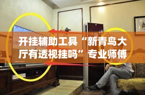 开挂辅助工具“新青鸟大厅有透视挂吗”专业师傅带你一起了解(确实有挂