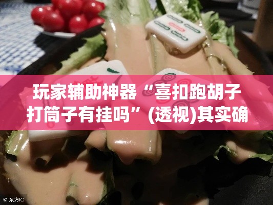 玩家辅助神器“喜扣跑胡子打筒子有挂吗”(透视)其实确实有挂