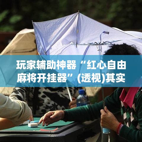 玩家辅助神器“红心自由麻将开挂器”(透视)其实确实有挂