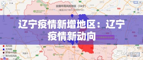辽宁疫情新增地区：辽宁疫情新动向