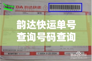 韵达快运单号查询号码查询单号 → 韵达快运快递查询单号