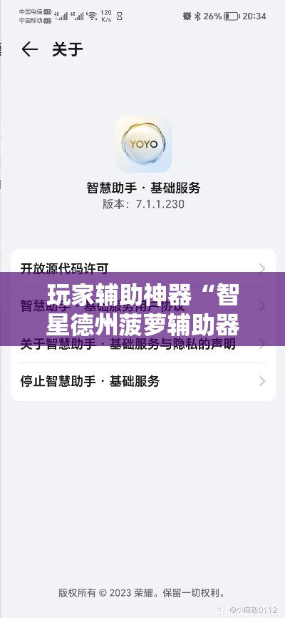 玩家辅助神器“智星德州菠萝辅助器下载安装”分享用挂教程