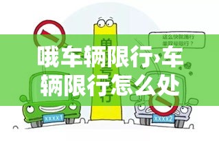 哦车辆限行›车辆限行怎么处罚?