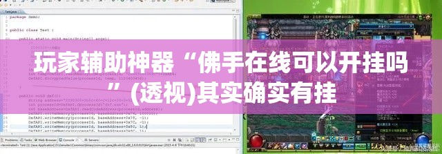 玩家辅助神器“佛手在线可以开挂吗”(透视)其实确实有挂