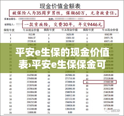 平安e生保的现金价值表›平安e生保保金可以返还吗