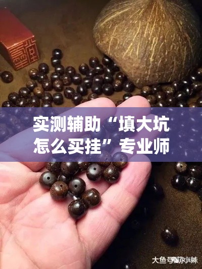 实测辅助“填大坑怎么买挂”专业师傅带你一起了解(确实有挂