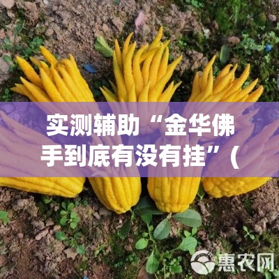 科普一下“牛牛炸 金花房卡”详细房卡使用教程