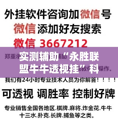 实测辅助“永胜联盟牛牛透视挂”科技辅助神器手机版