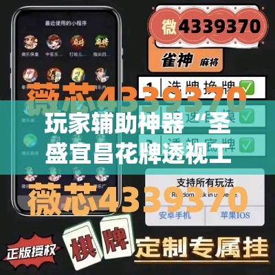 玩家辅助神器“圣盛宜昌花牌透视工具	”专业师傅带你一起了解(确实有挂