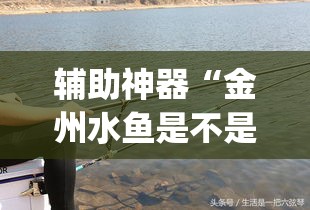 新干县新增疫情最新消息—(新干县新冠肺炎) 新干县新增疫情最新消息—(新干县新冠肺炎)