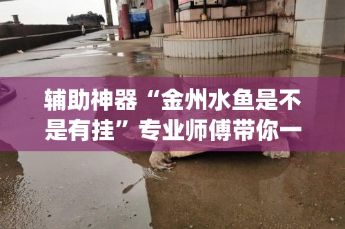 玩家必备教程“金花房卡代理销售”轻松获取房卡全渠道