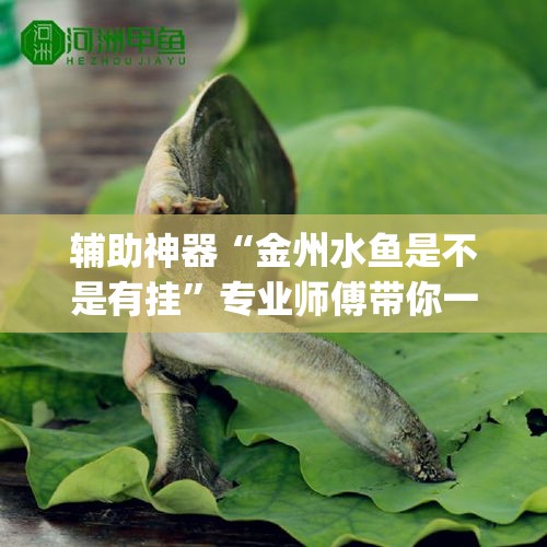 【俄罗斯疫情6月2日新增·俄罗斯🇷🇺疫情】