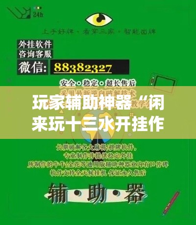 玩家辅助神器“闲来玩十三水开挂作弊辅助	”专业师傅带你一起了解(确实有挂