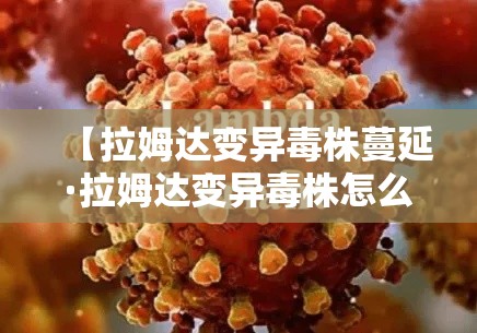 给大家讲解“微信金花房卡怎样购买	”链接房卡在哪里获取