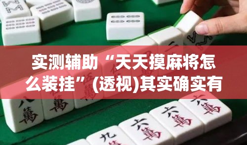 实测辅助“天天摸麻将怎么装挂”(透视)其实确实有挂