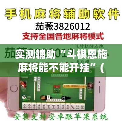 实测辅助“斗棋恩施麻将能不能开挂”(透视)其实确实有挂