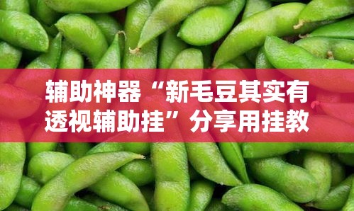 辅助神器“新毛豆其实有透视辅助挂	”分享用挂教程