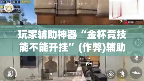 玩家辅助神器“金杯竞技能不能开挂”(作弊)辅助透视教程