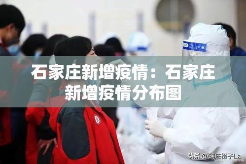 石家庄新增疫情：石家庄新增疫情分布图