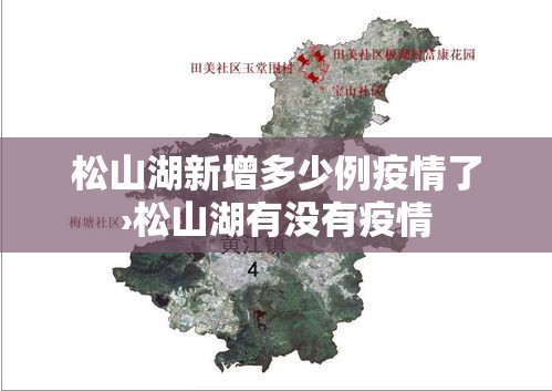 沁阳今日限行—（沁阳市机动车限行）