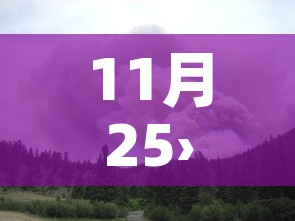 11月25›11月25号是什么射手