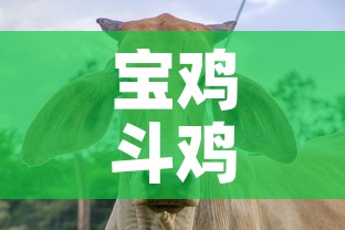 房卡必备教程“微信金花房卡在哪买	”购买房卡介绍