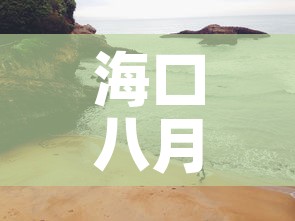 给大家讲解“金花房间卡哪里买”房卡怎么购买