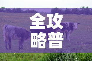 全攻略普及“微信牛牛群房间卡如何购买”轻松获取房卡全渠道