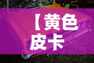 【黄色皮卡限行·皮卡限行区】