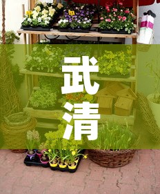 武清区绿化五金价格行情—（天津武清区比较大的五金城）