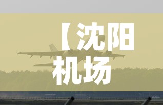 【沈阳机场新增疫情,沈阳机场最新疫情规定】