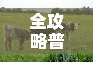 全攻略普及“开牛牛群怎么买房卡	”详细房卡教程