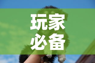 玩家必备教程“斗牛房卡牛牛房卡”房卡使用教程