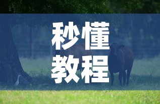 秒懂教程“微信牛牛群斗牛群”获取房卡教程-哔哩哔哩