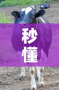 秒懂教程“微信牛牛群斗牛群	”获取房卡教程-哔哩哔哩