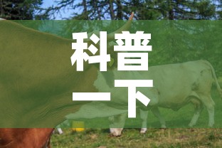 科普一下“微信牛牛群房卡怎么弄”房卡怎么购买