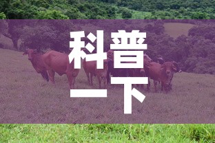 科普一下“微信牛牛群斗牛群”详细房卡教程