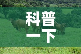 科普一下“微信牛牛群斗牛群”房卡使用教程