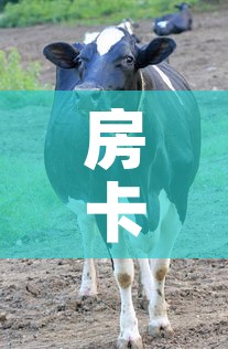 房卡必备教程“微信牛牛群斗牛群”详细房卡教程
