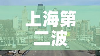上海第二波阳性高峰期 → 上海第二例新冠病毒肺炎