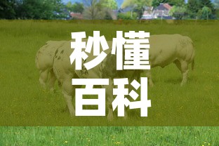 秒懂百科“微信牛牛群房卡”购买房卡介绍