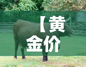 【黄金价格回收牛奢网优选,牛奢网上门回收黄金合法吗】