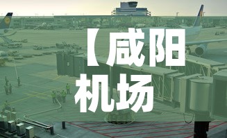 【咸阳机场限行,咸阳飞机场限行】