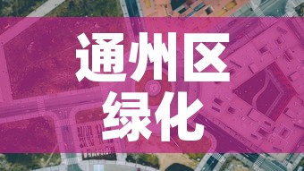 通州区绿化五金价格行情›通州绿植批发 通州区绿化五金价格行情›通州绿植批发