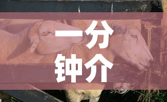 一分钟介绍使用“微信牛牛群斗牛群	”轻松获取房卡全渠道